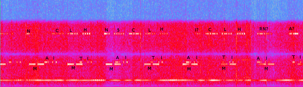 decoded